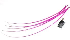 Crocus Purple Quill Feather